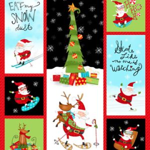 TELA NORTHCOTT - EXTREME SANTA P60