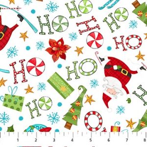 TELA NORTHCOTT - EXTREME SANTA